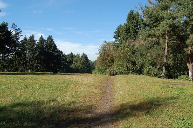 Grabiszyn